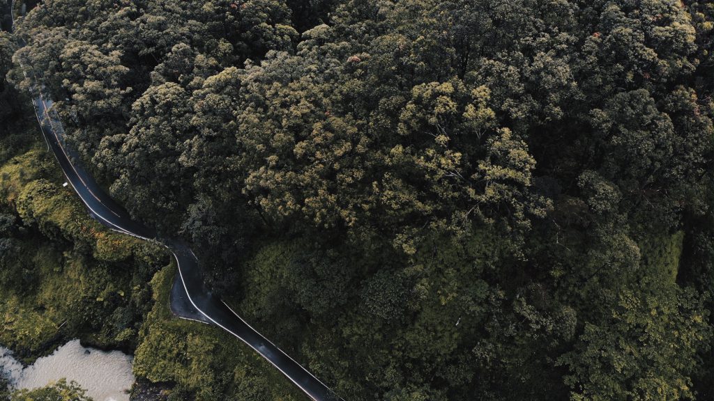 Best stops Road to Hana