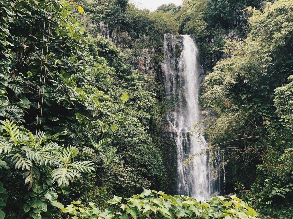 Road to Hana waterfall