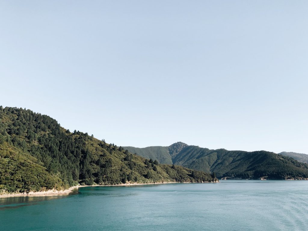 Travel with the ferry in New Zealand