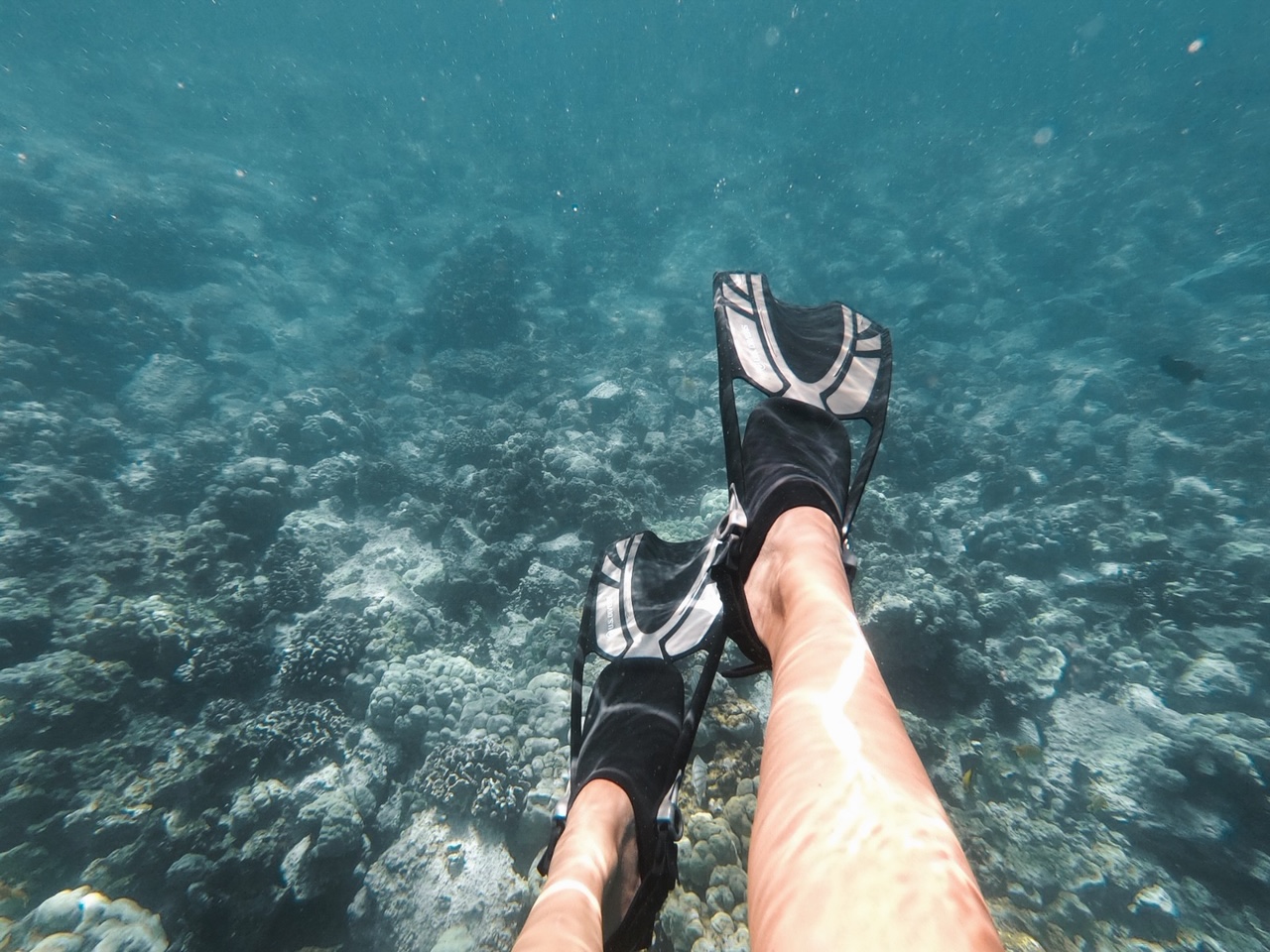 Snorkelling Big Island Hawaii