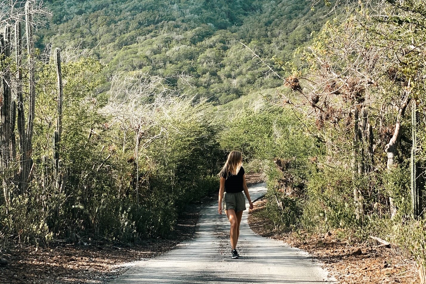Curacao highlights: top 10 things to do and see - Wanderful Stories