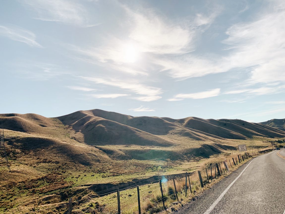 Finding a job in New Zealand | Travel & Work - Wanderful Stories