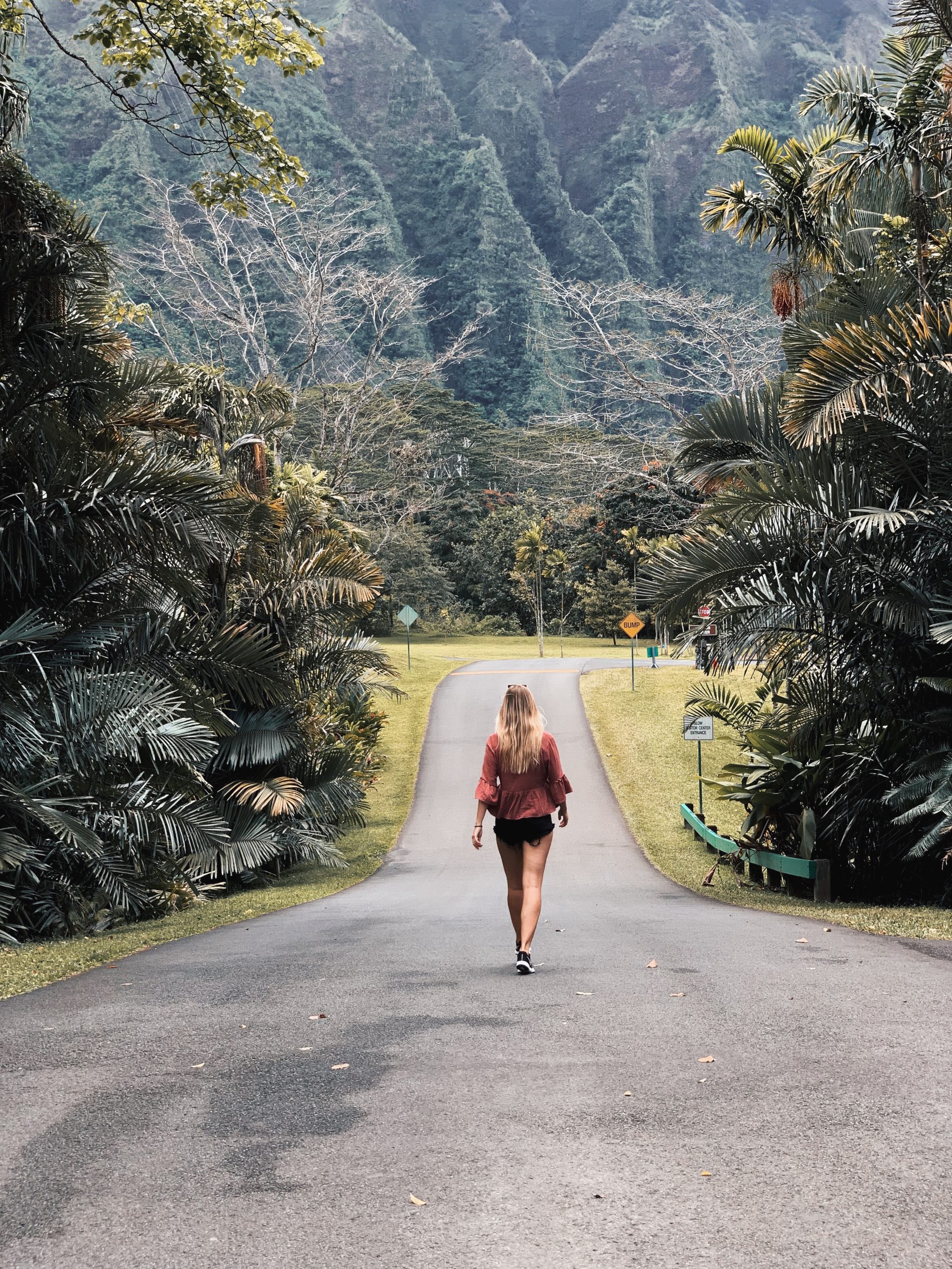 exploring Ho'omaluhia Botanical Gardens Oahu view