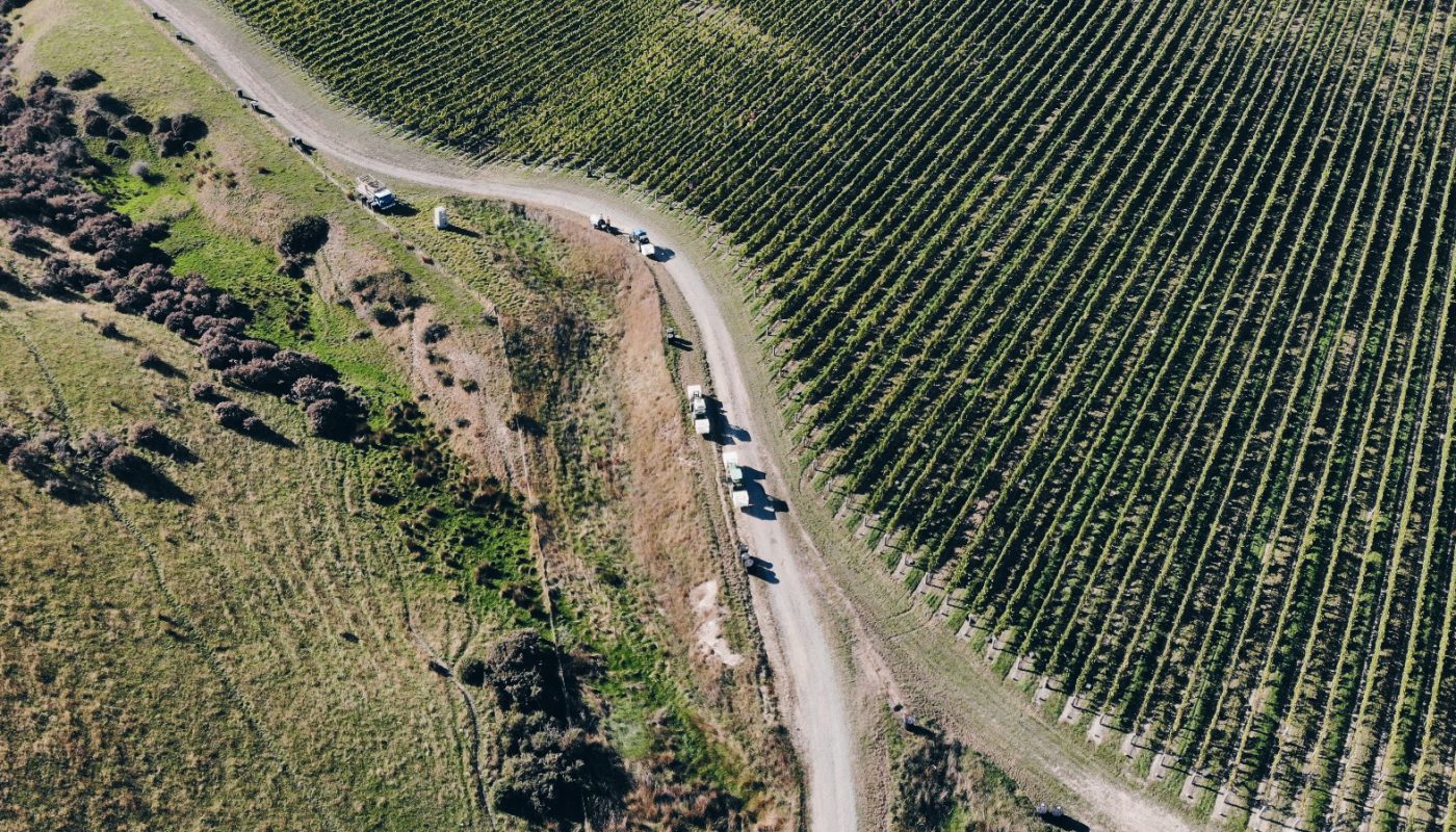 Drone shot New Zealand vineyard
